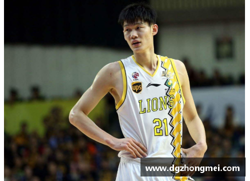 CBA球员技术评析与战术角色分析