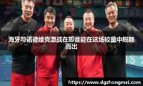 海牙与诺德维克激战在即谁能在这场较量中脱颖而出