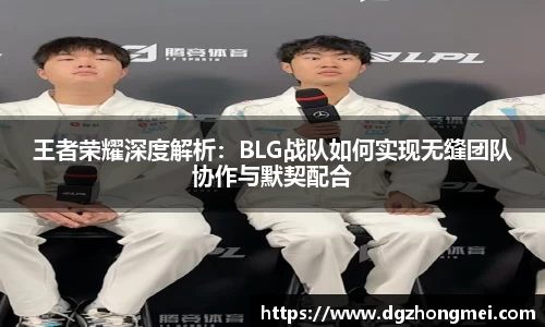 王者荣耀深度解析：BLG战队如何实现无缝团队协作与默契配合